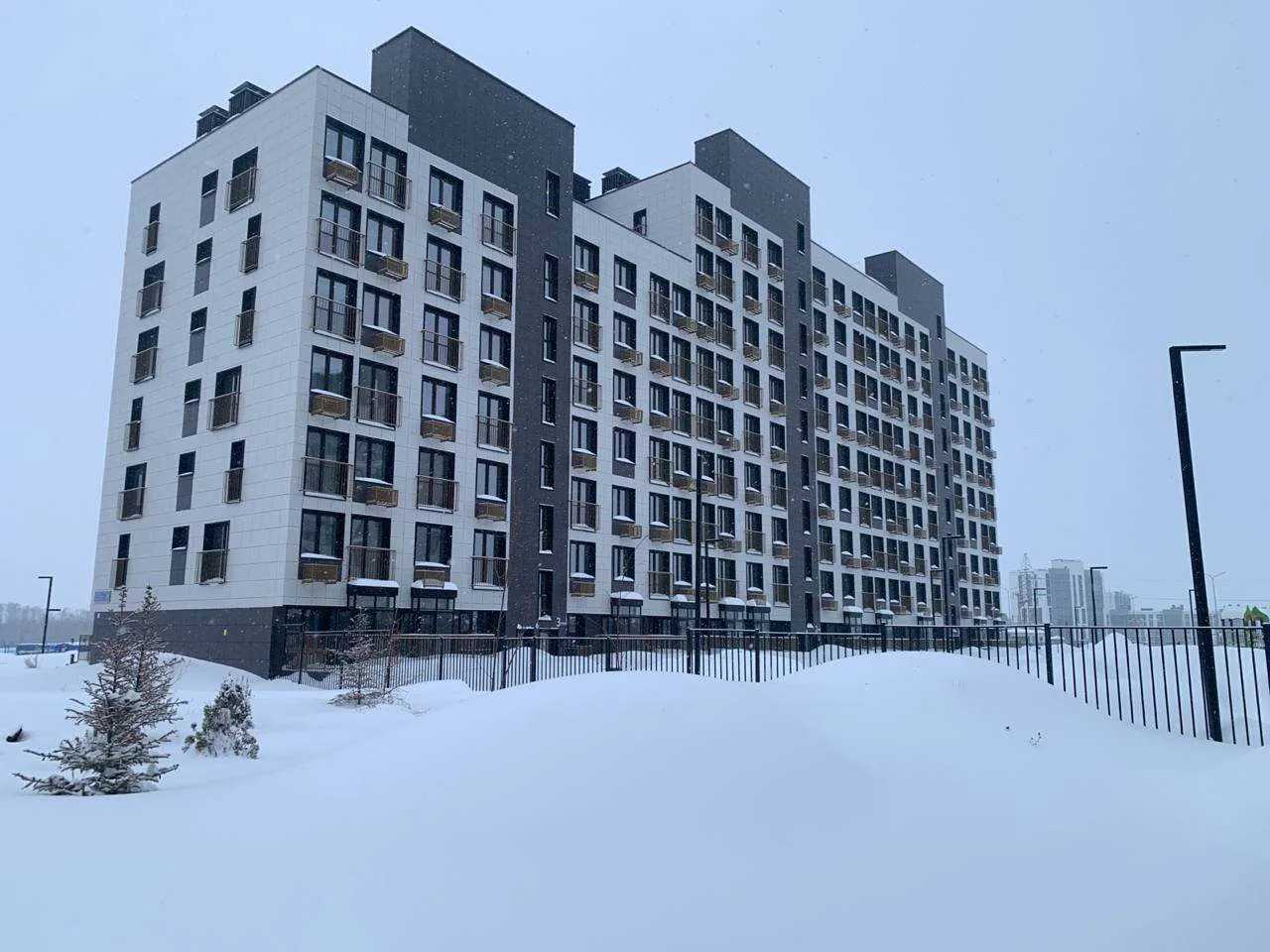 Описание изображения